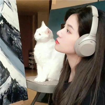 天网记